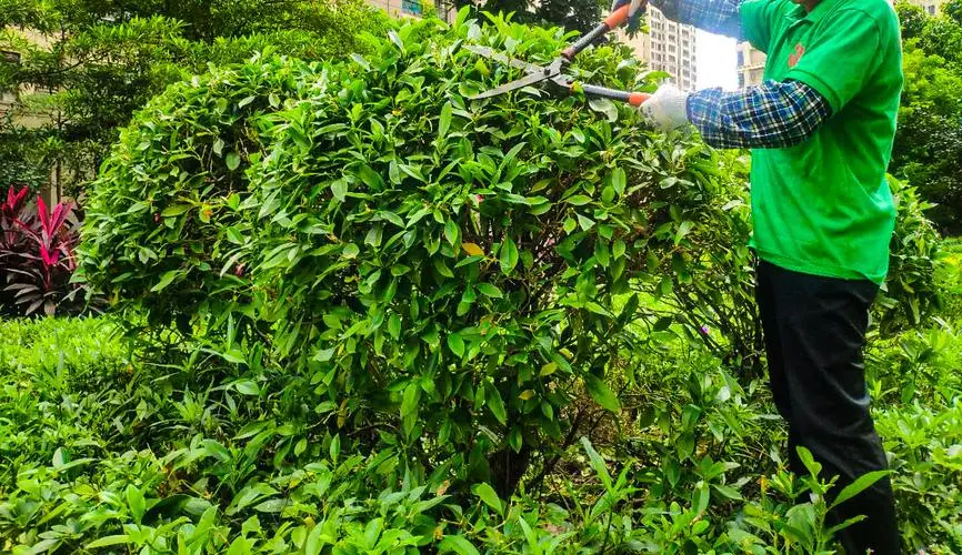 园林绿化工程利润高吗现在
