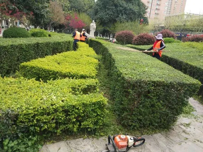 先租赁体验未来住宅，后购置森林城市之居，让置业更放心！